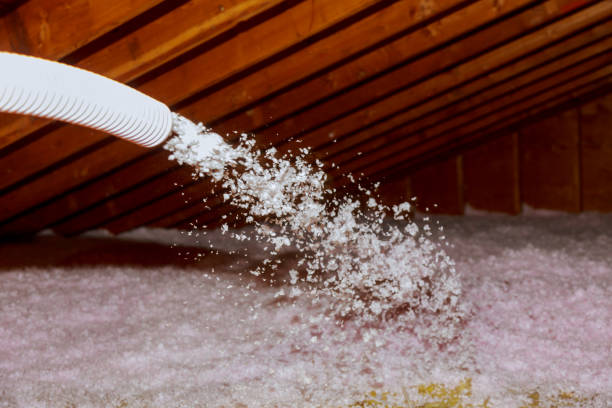 Best Attic Insulation Installation  in Gold Canyon, AZ