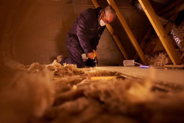 Best Eco-Friendly or Green Insulation Solutions  in Gold Canyon, AZ